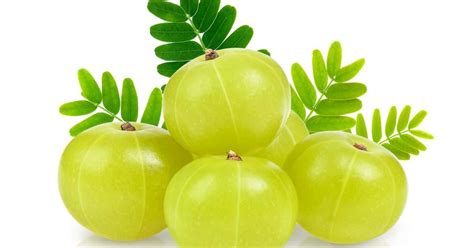 what is amla philippines|About Us .